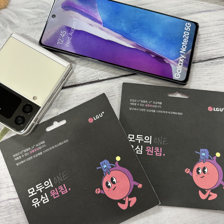  LG 선불폰 원칩 유심 사용 셀프 개통 방법