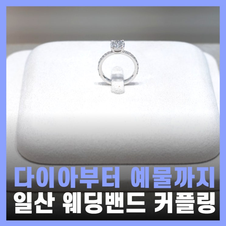  일산 웨딩밴드 결혼반지 예물 커플링 라스텔라