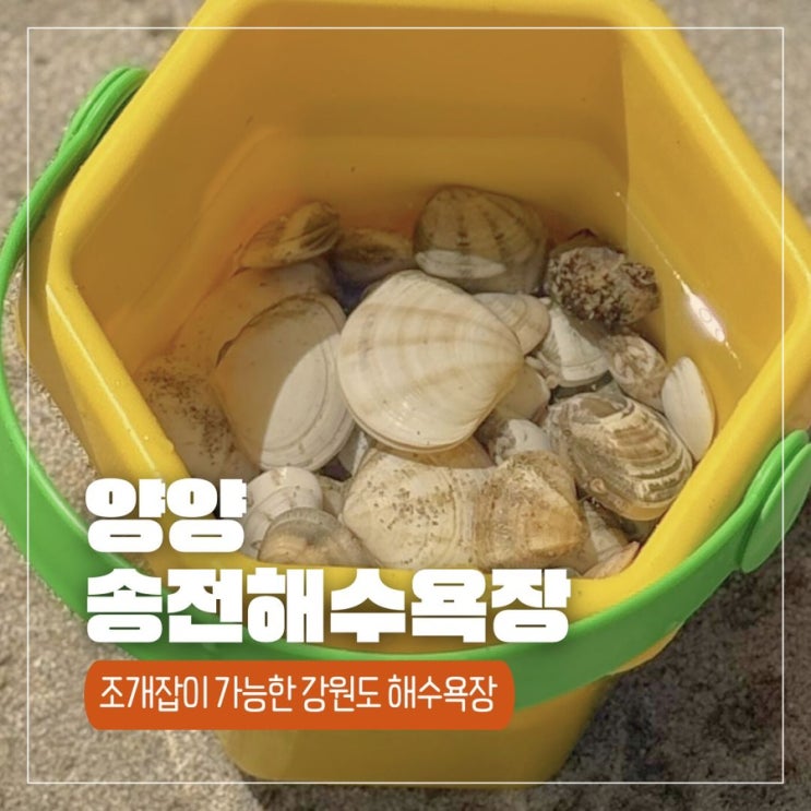  강원도 양양 조개잡이 가능한 송전해수욕장