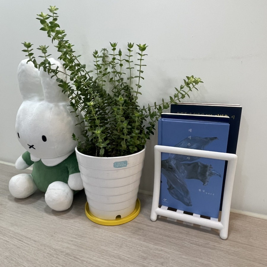 샐러디 부산명장점 사진 4