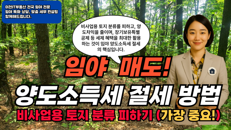   비사업용 임야 양도세 폭탄 피하는 법! 매도 시 세금 계산부터 절세 꿀팁까지-이천IT부동산