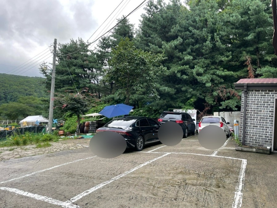 백년쌈밥 사진 4