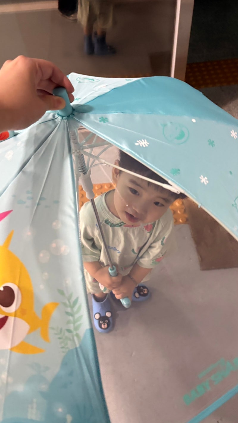 [핑크퐁] 28개월 우리 아이 첫 우산 추천! "아기상어" 입체 우산 47센티 민트색상