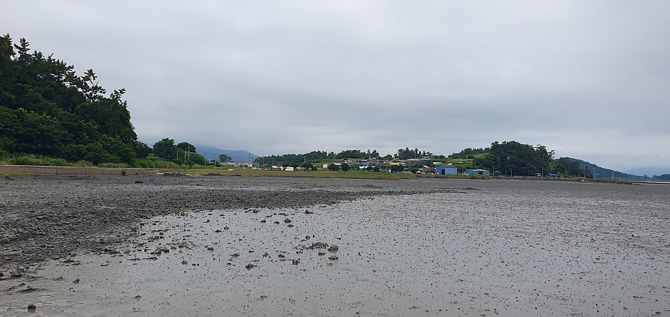 토도 사진 2