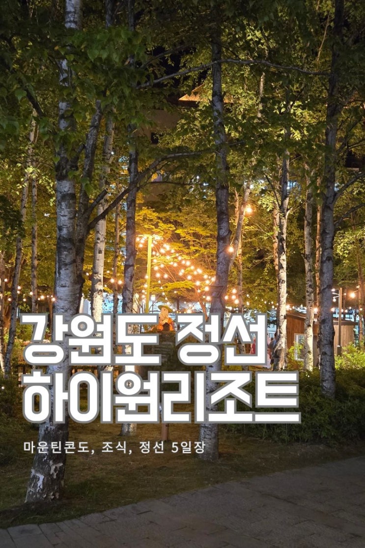  [강원도 정선]하이원리조트 마운틴콘도 완벽 가이드 - 힐콘도와의 차이점과 실제 숙박 후기