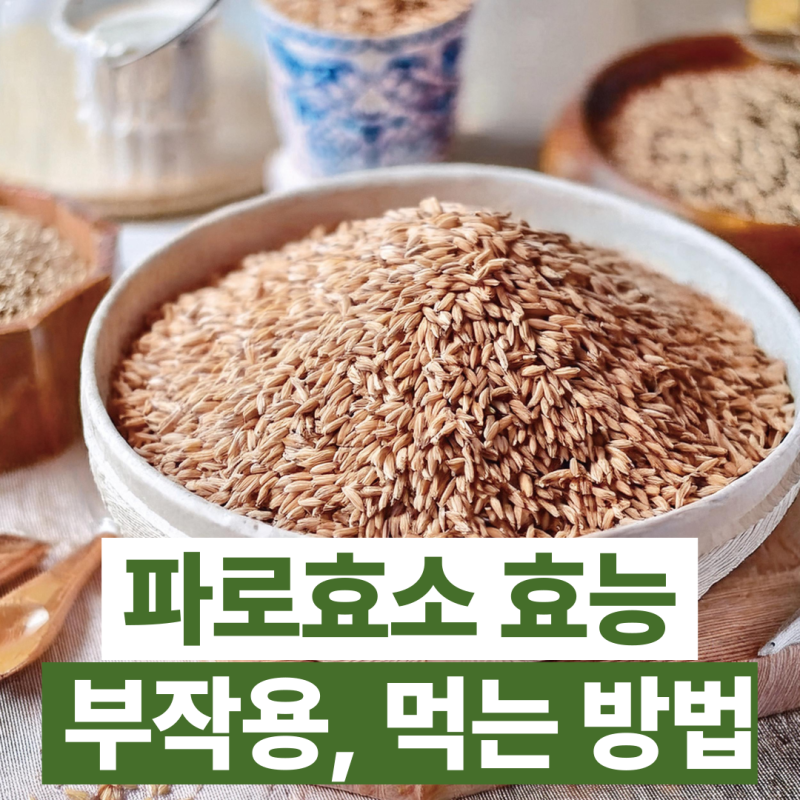 파로효소 효능 부작용, 복용법 제대로 알기