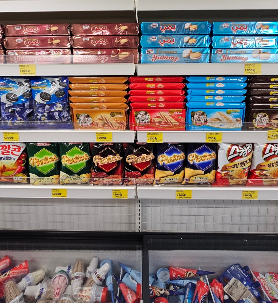 오다주따 사진 5