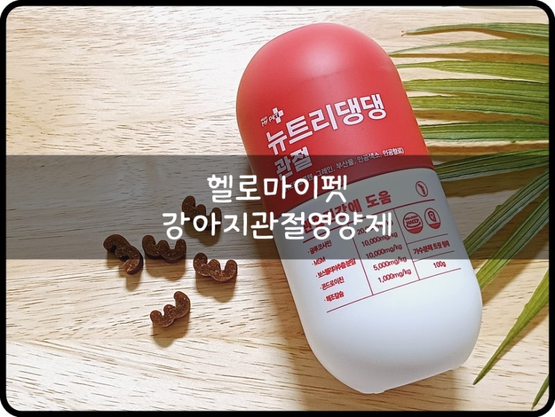 헬로마이펫 슬개골탈구 뉴트리댕댕 강아지관절영양제 추천