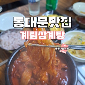 동대문노포맛집 계림닭도리 계림삼계탕 가성비 맛집추천 종로실내포차 내 돈 내산