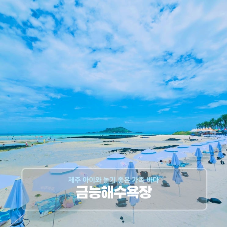  제주 아이와 놀기 좋은 가족 바다 금능해수욕장