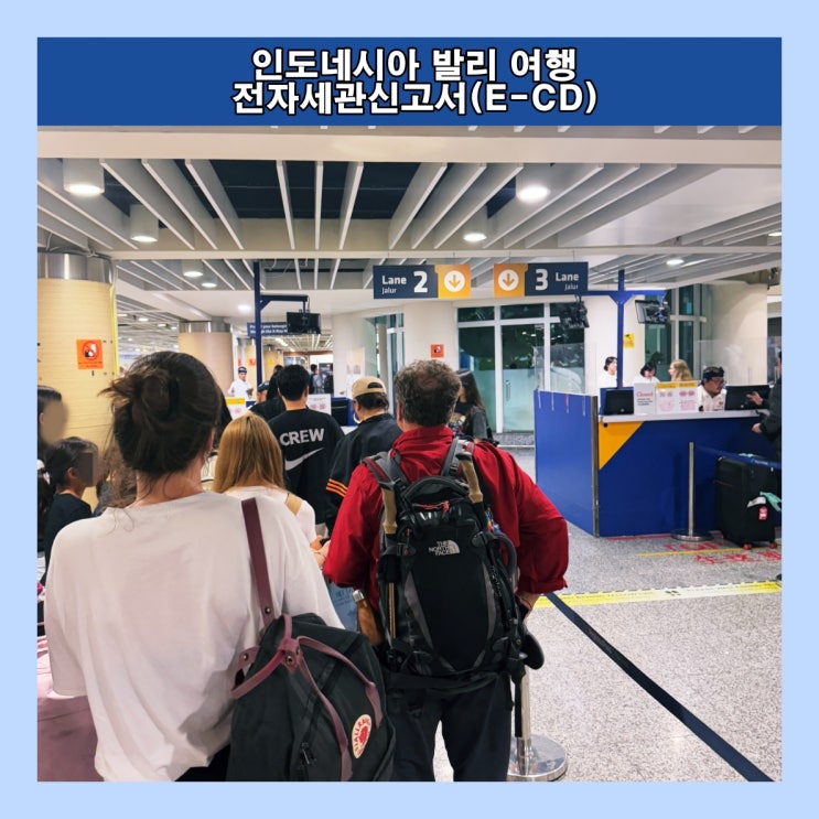  인도네시아 발리 여행, 전자세관신고서(E-CD) 작성 방법