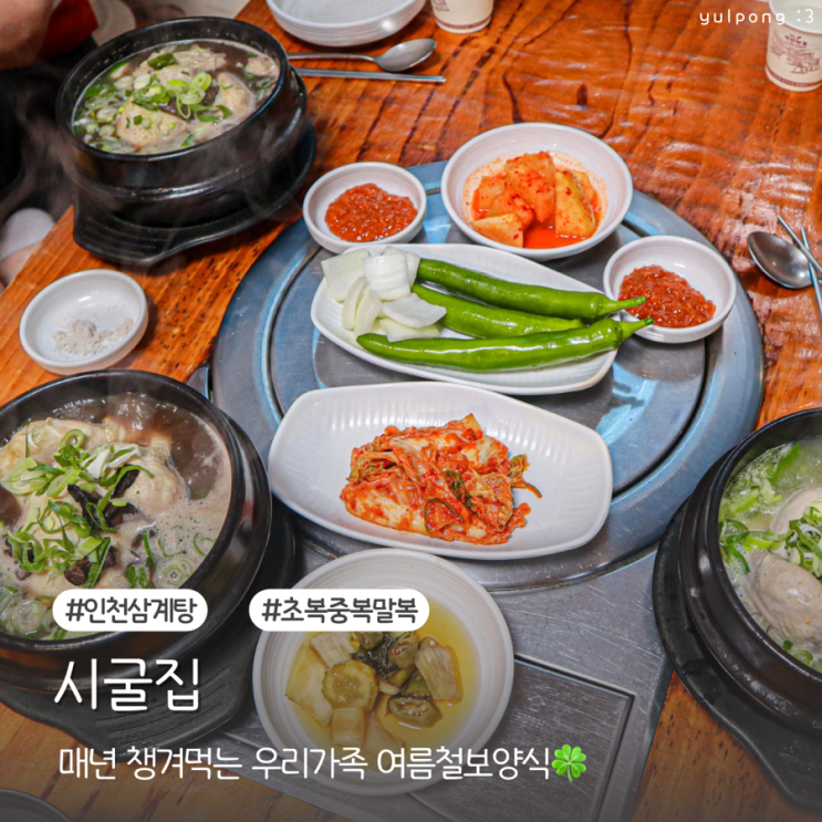  인천 검암맛집 시굴집 초복중복말복 능이버섯삼계탕 보양식 추천