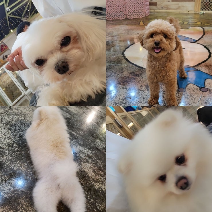사진 3