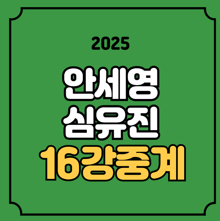 <b>중국 오픈</b> 배드민턴 중계 <b>안세영</b> 경기 시간 2025년 7월 24일... 