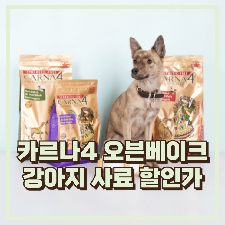  알러지 걱정 끝! 이지츄 피쉬 카르나4 독 강아지사료 추천, 할인가