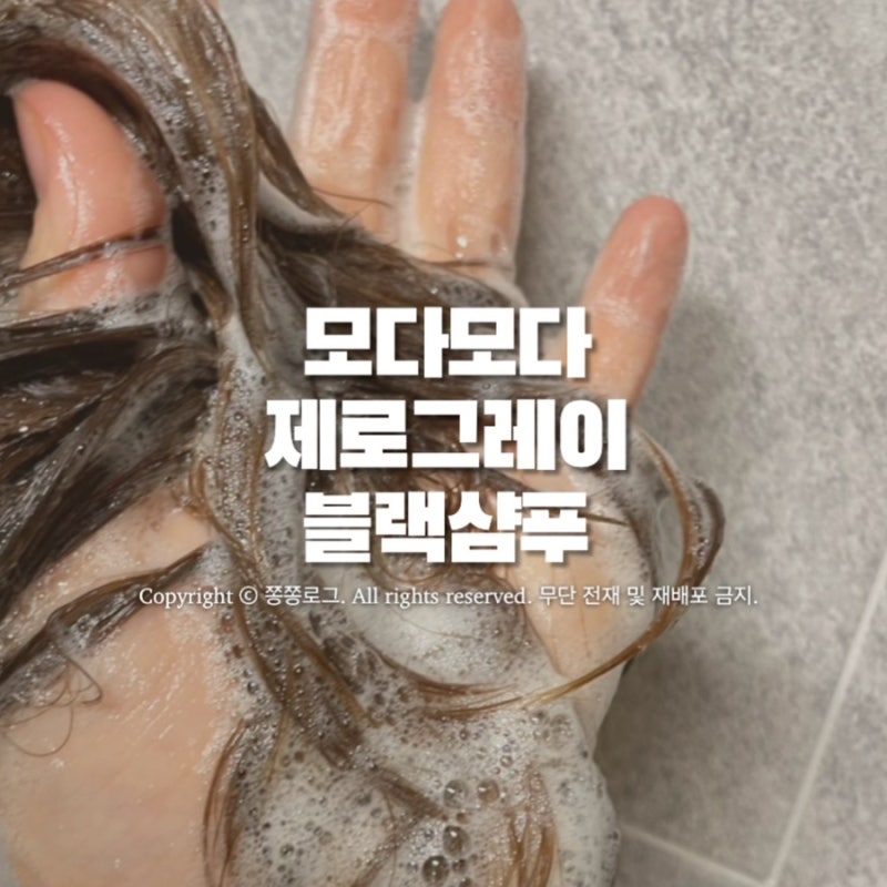 염색NO 건강새치샴푸 추천:: 코스트코 모다모다 제로그레이 블랙샴푸10