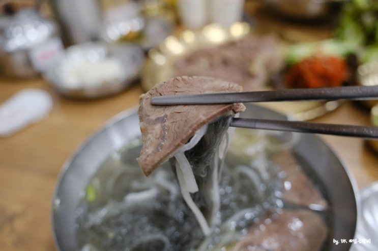  직접 다녀온 전국 냉면 맛집 탐방 BEST 6 찐 후기