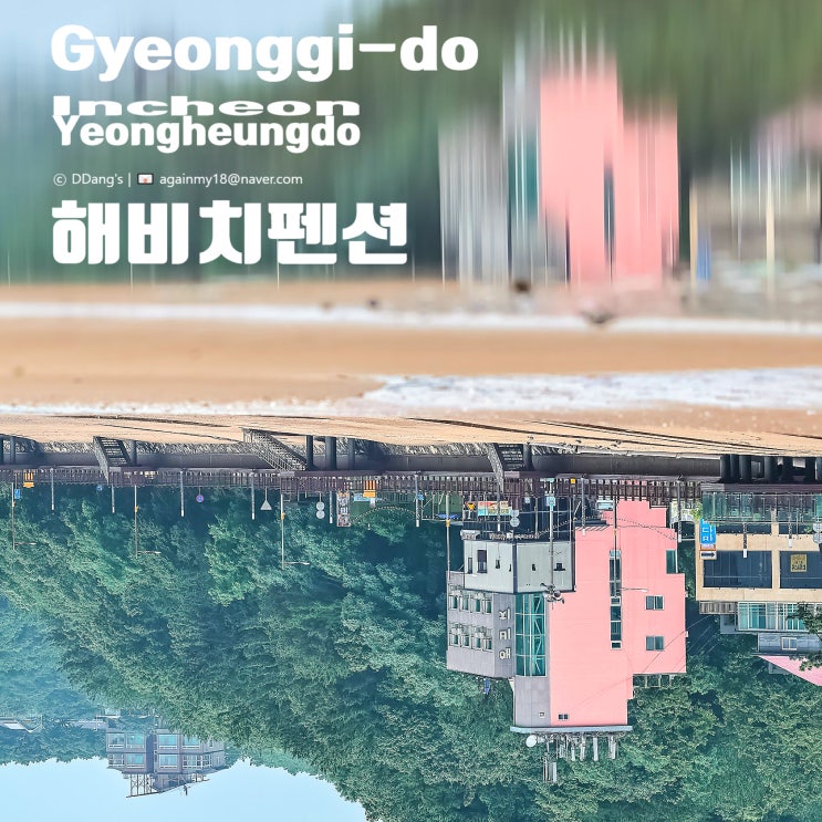  인천 영흥도 해비치펜션 미니풀 객실에서 반려견과 함께한 1박 2일