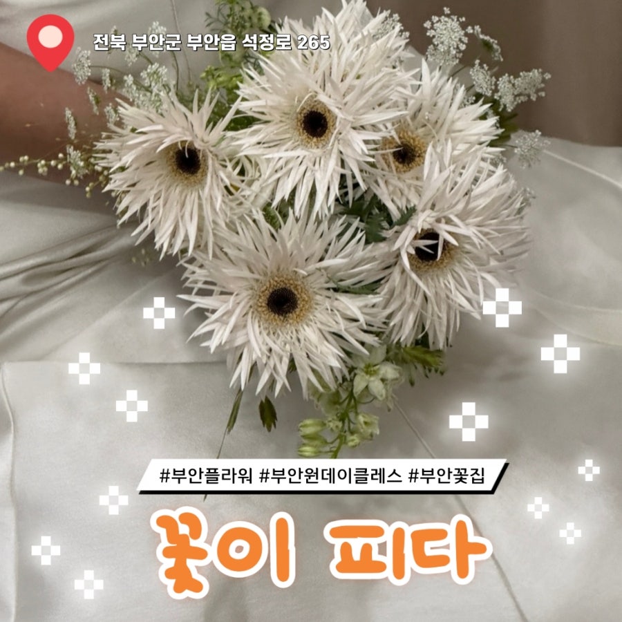꽃이피다 사진 1