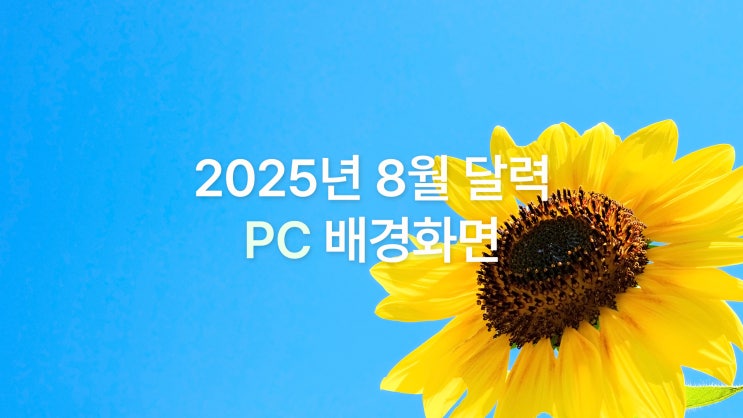  2025년 8월 달력 PC UHD 4K 심플+시원 여름 감성 배경화면 7종