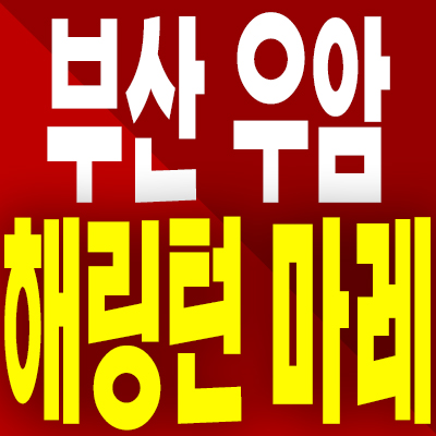 부산 우암 해링턴 마레 분양가 북항 우암동 미분양아파트 공급내용