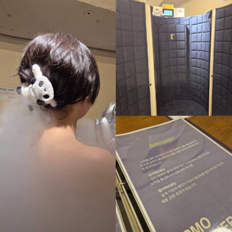  크라이오테라피 에르모에서 체험해본 후기, 크라이오테라피 가격