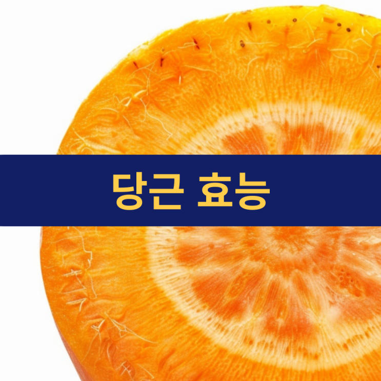  당근 효능 | 베타카로틴 효능 | 건강을 책임지는 주황색 채소의 비밀