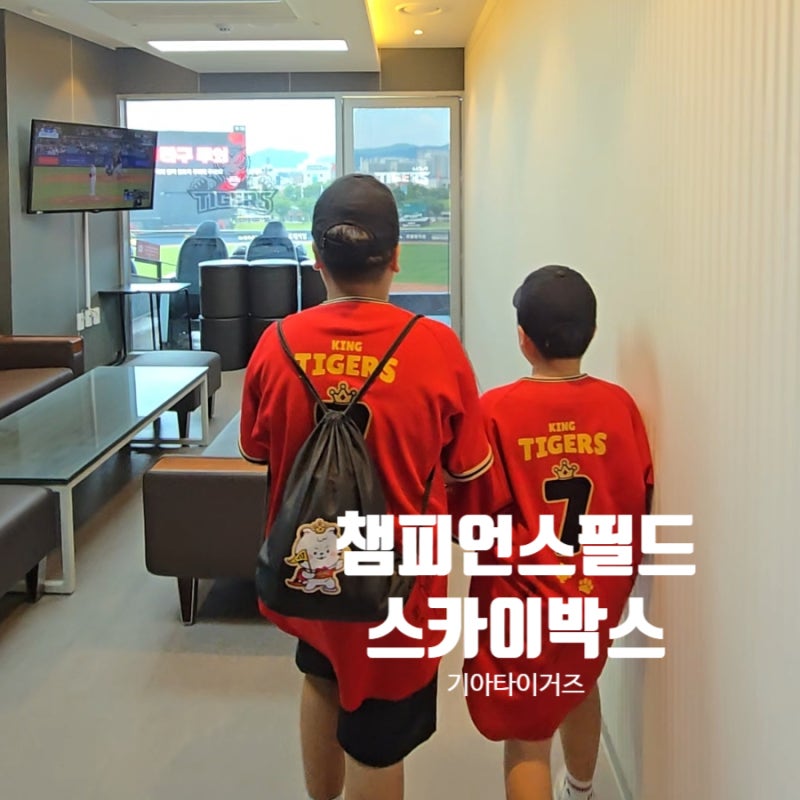 기아타이거즈 챔피언스필드 스카이박스 18인실 가격 예매 내돈내산 이용후기
