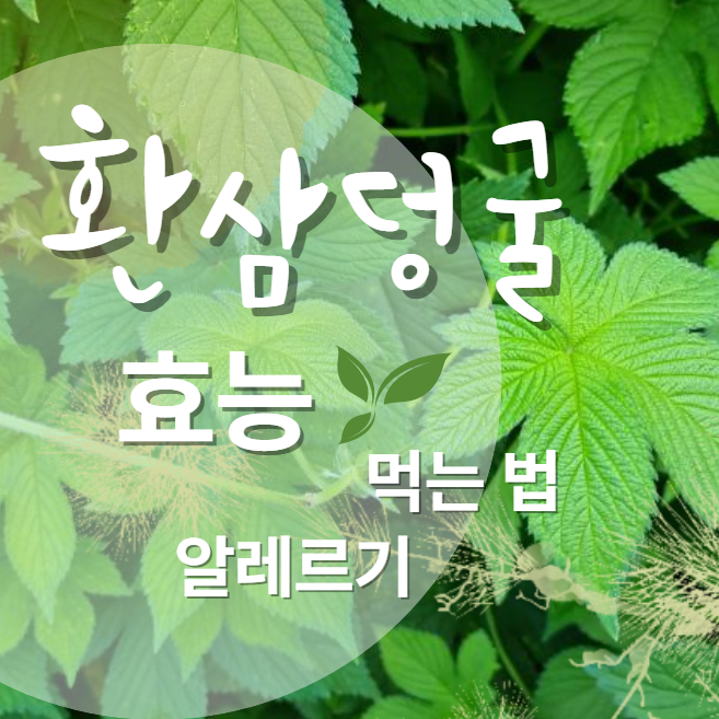  환삼덩굴 효능 알레르기 먹는법 : 차