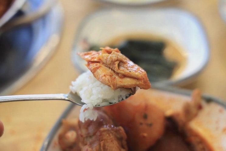  맛애정, 이탈리아 음식이 매력적인 강릉역 맛집