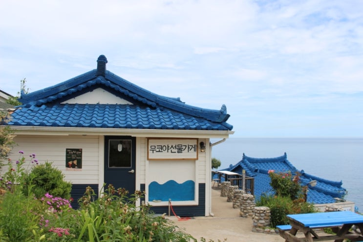  [묵호항, 논골담길] 묵호뚜벅이여행 가볼만한곳