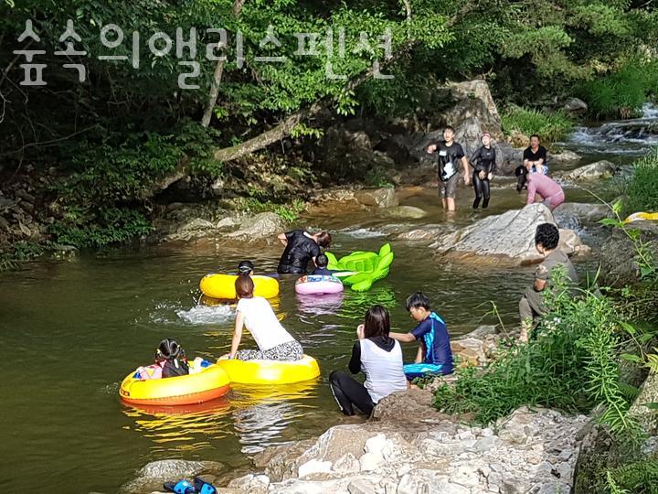 숲속의앨리스 사진 5