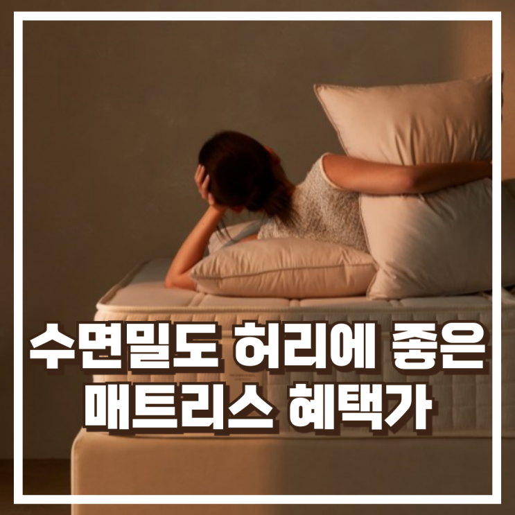  허리 부담 줄이고 싶다면? 수면밀도 미디엄 하드 싱글(S) 매트리스 추천, 혜택가