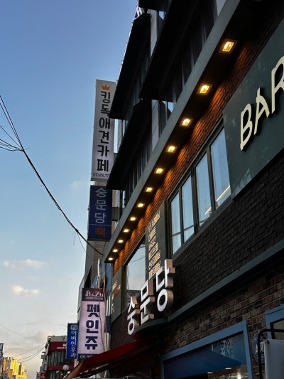 사진 8
