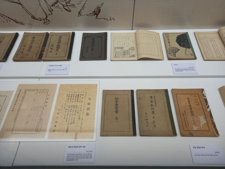 대전광역시 동구 한밭교육박물관 관람 후기입니다.(2편 - 건물 2층 상설전시실: 일제강점기 ~ 현대 교육)