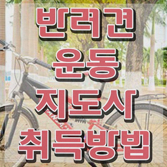  반려견운동지도사 준비한 방법 , 커리어 활용방안