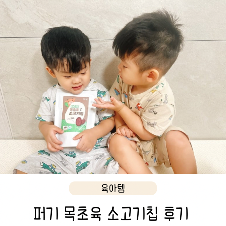  퍼기 목초육 소고기칩 후기 건강한 아기 영양 간식 추천