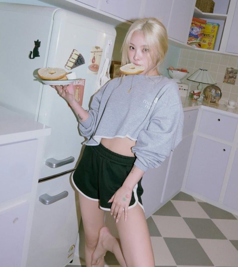 마마무 해체? 소속사 바꾼 휘인은 누구? (프로필)