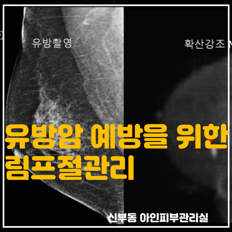  천안 신부동피부관리 쇄골관리와 유방암 예방을 위한 림프절관리