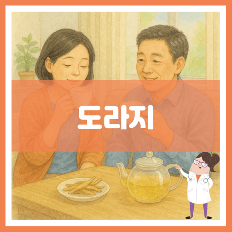  도라지 효능 부작용 먹는 방법