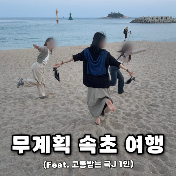  무계획 속초 여행 | 당일치기 1박2일 먹방 여행코스 총정리