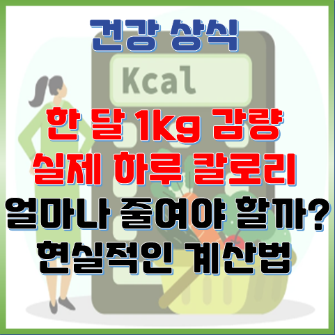  한 달 1kg 감량, 하루 칼로리 얼마나 줄여야 할까? 현실적인 계산법