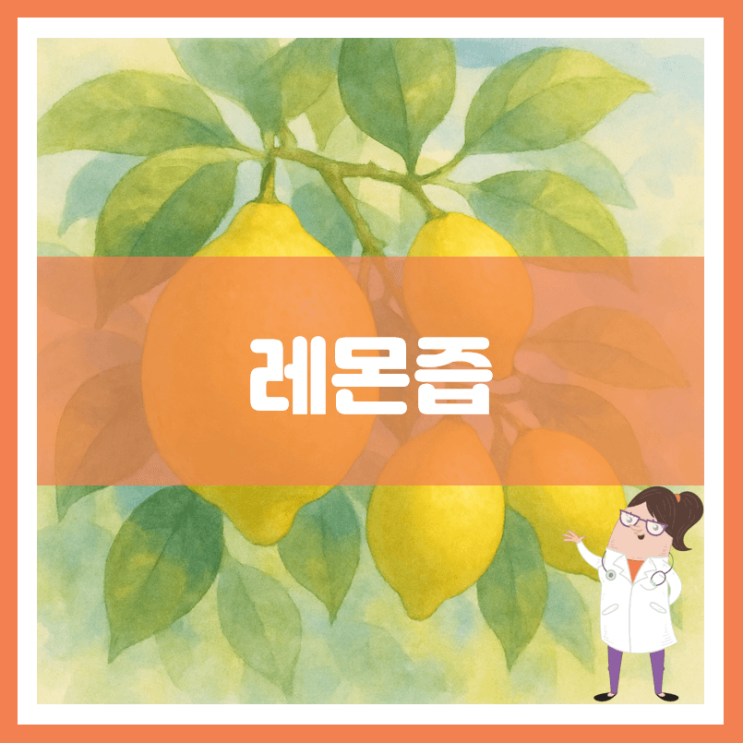  레몬즙 효능 섭취방법 부작용