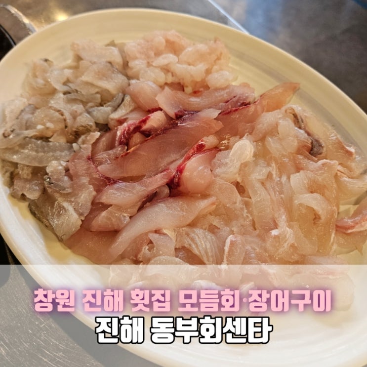  창원 진해 동부회센타｜모듬회 바다장어구이 먹고 온 솔직후기