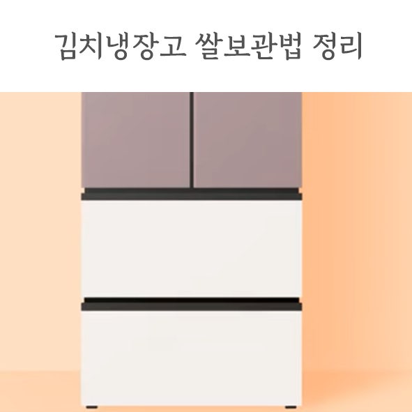 김치냉장고 쌀보관 방법과 온도 설정과 쌀벌레 방지