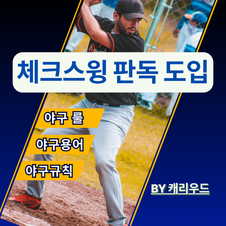  KBO 한국프로야구 체크스윙 비디오 판독 도입 일정