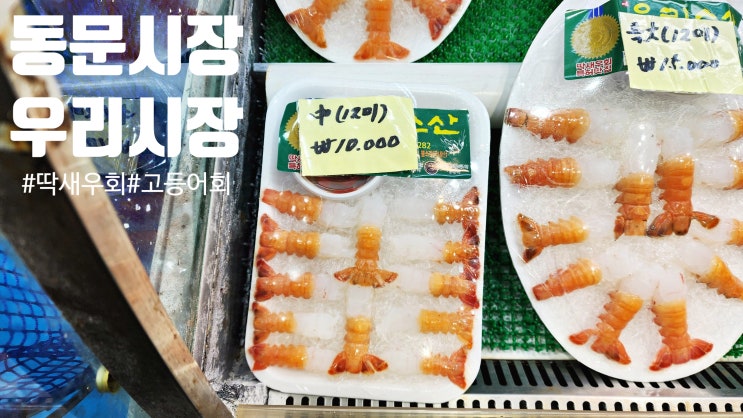  제주도 동문시장 추천 맛집 딱새우회 우리수산 포장 내돈내산 가격과 2층 우리수산직영 우리식당