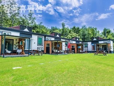 사진 5