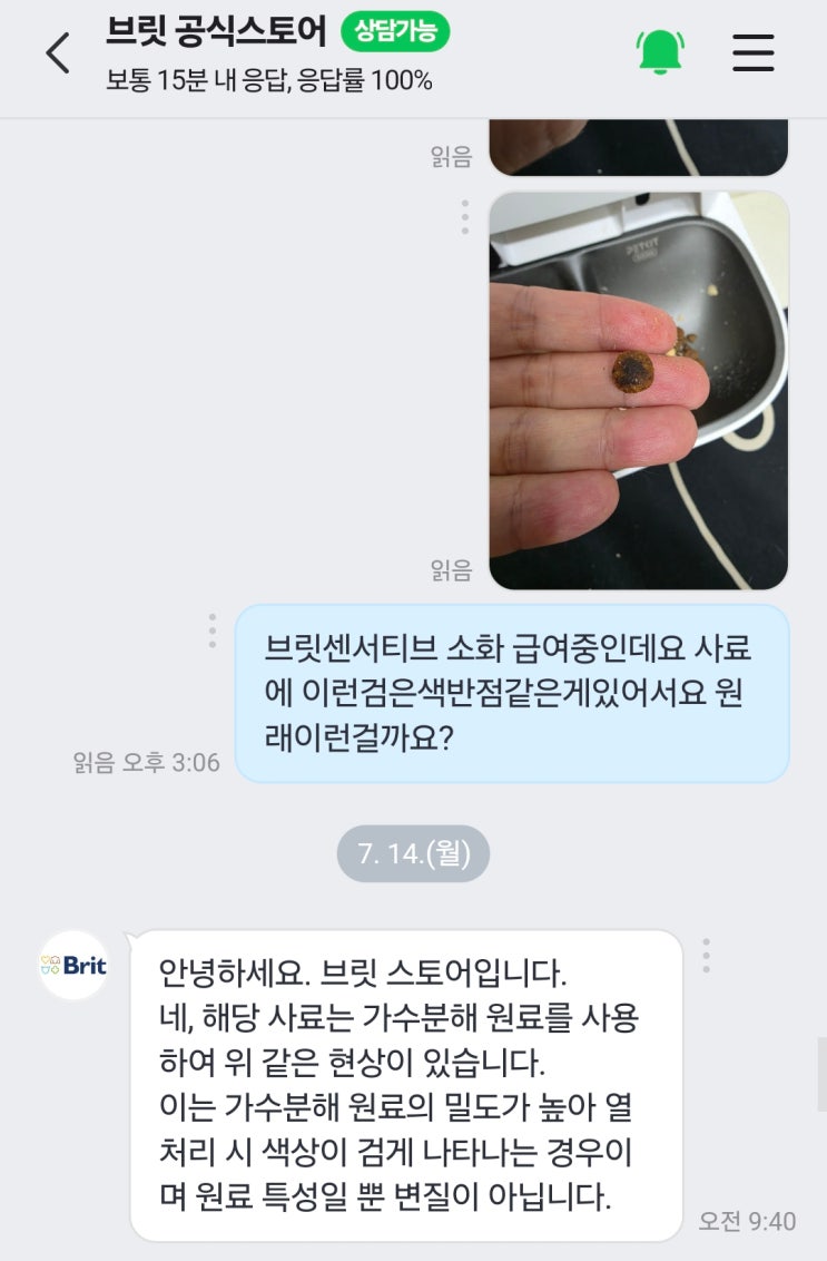  고양이 건사료 검은점 곰팡이일까?급여해도될까?