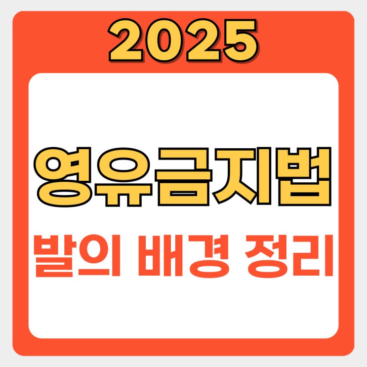  영유금지법 논란: 4세 고시, 영어유치원 금지, 과연 교육의 미래는?